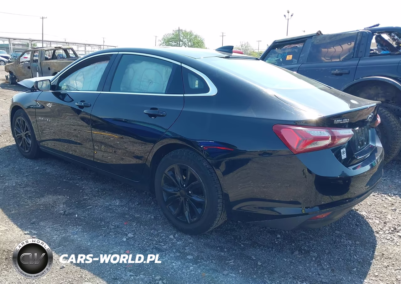2019 Chevrolet Malibu Lt VIN:1G1ZD5ST8KF206708 - 3