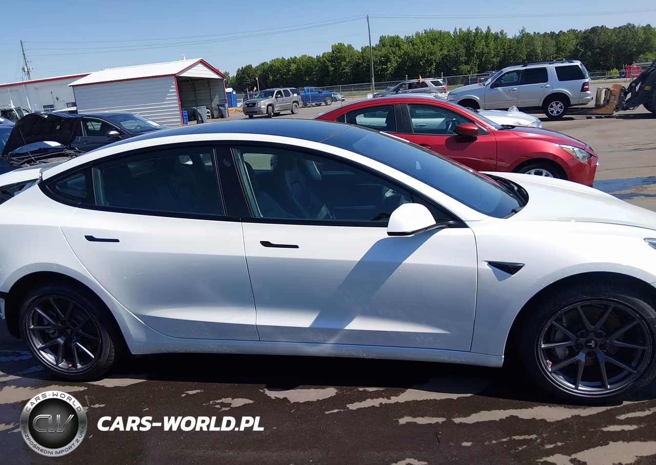 2022 Tesla Model 3 Rear-Wheel Drive VIN:5YJ3E1EA5NF290511 - 14