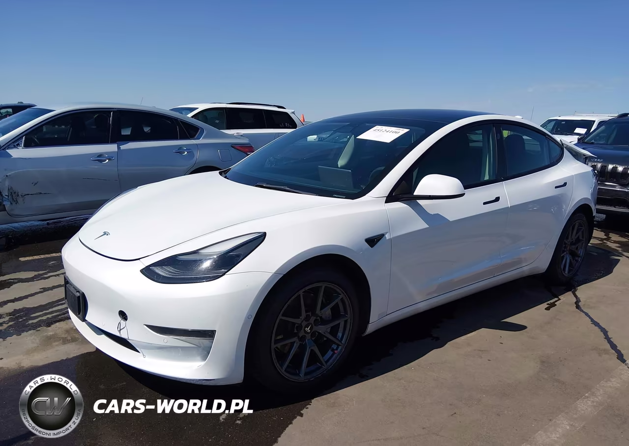 2022 Tesla Model 3 Rear-Wheel Drive VIN:5YJ3E1EA5NF290511 - 2