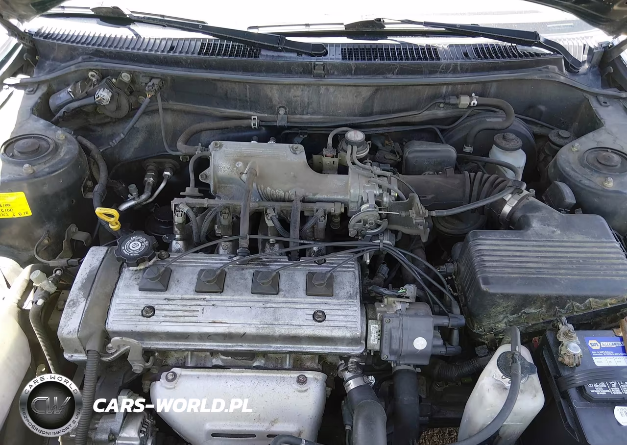 1996 Toyota Corolla VIN:1NXBA02E8TZ497306 - 10