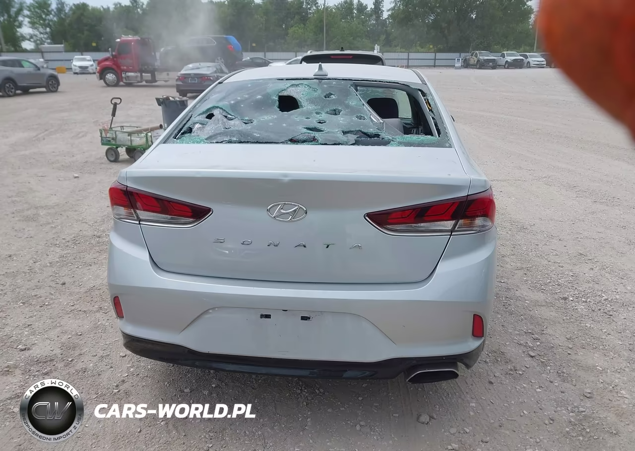 2019 Hyundai Sonata Sel VIN:5NPE34AF5KH821754 - 17