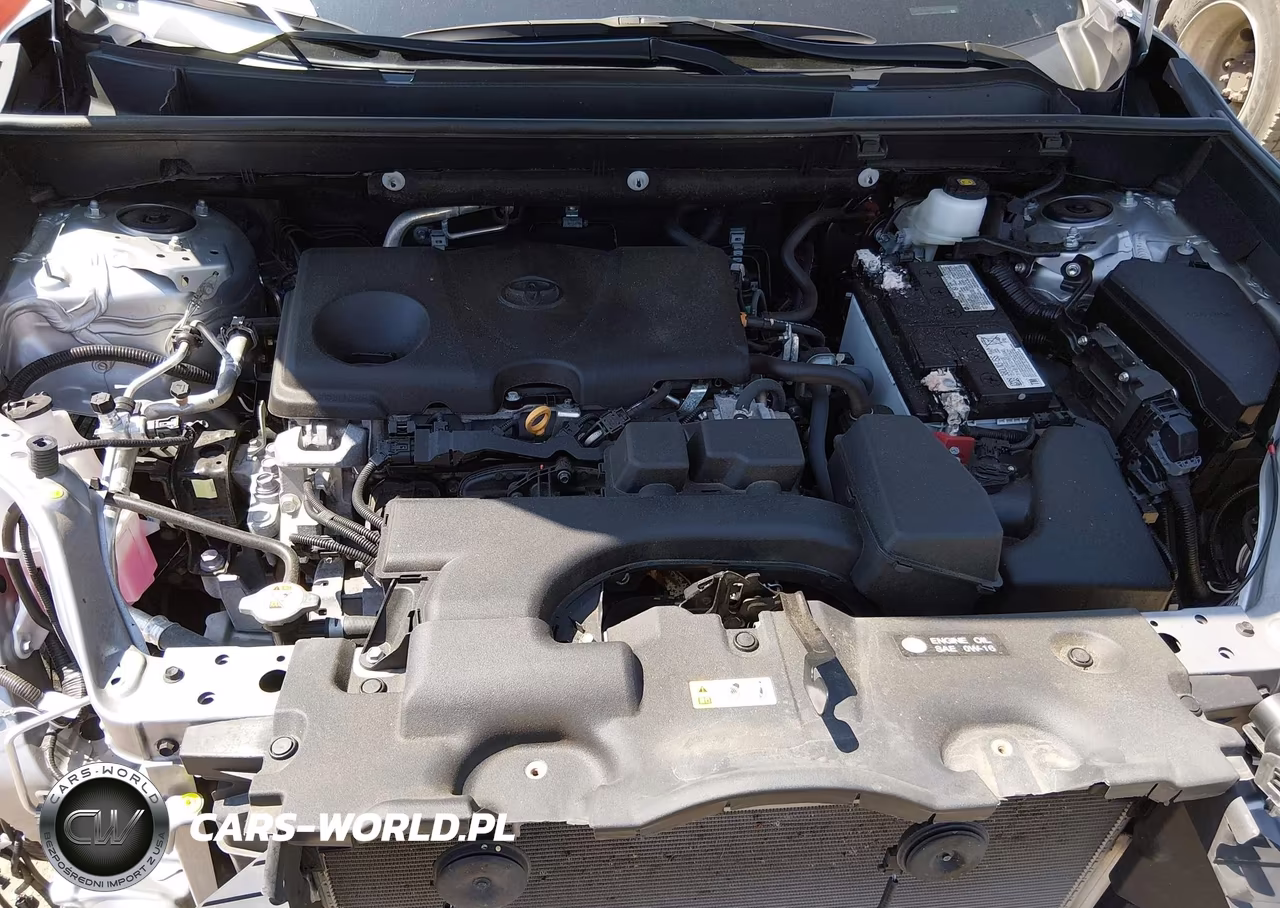 2024 Toyota Rav4 Xle VIN:2T3W1RFV0RW314481 - 10