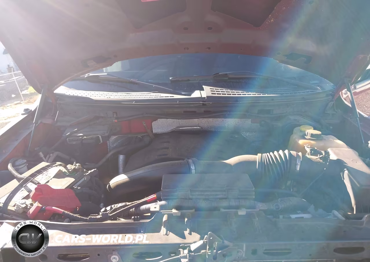2014 Ford F-150 Fx4 VIN:1FTFW1ET9EFA01590 - 10