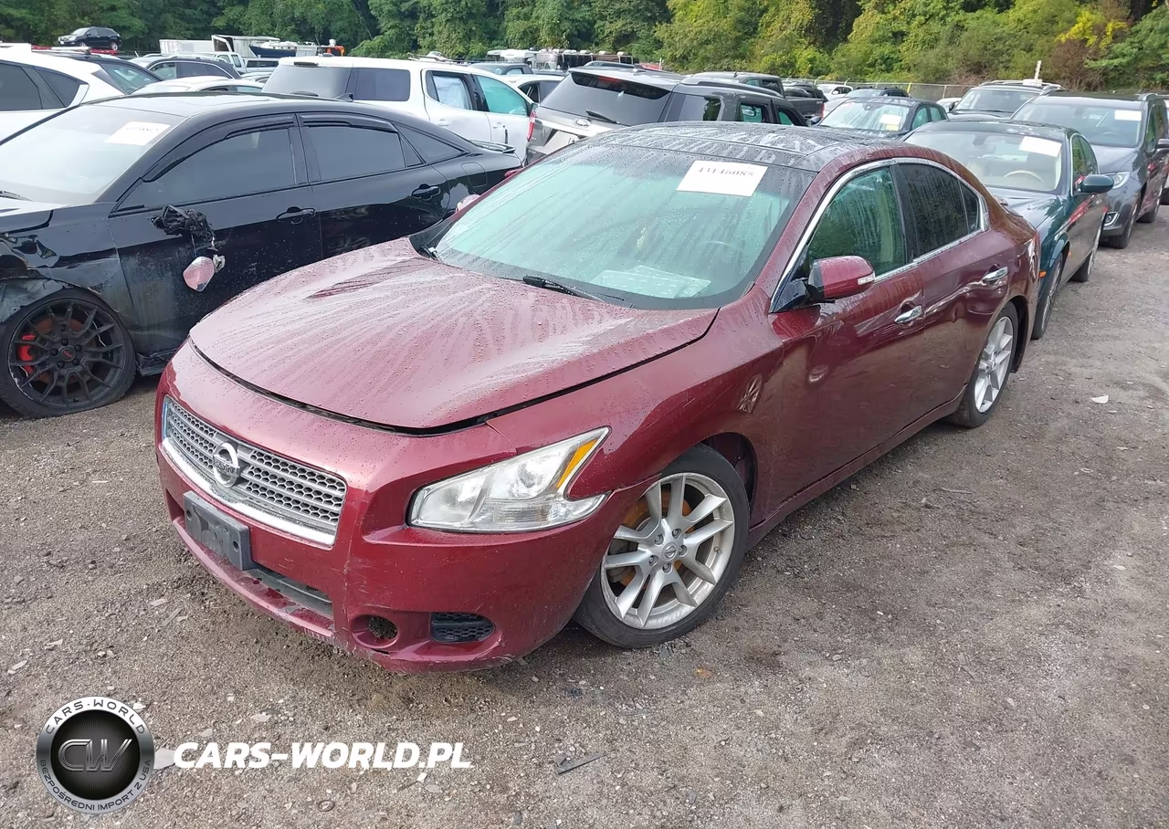 2010 Nissan Maxima 3.5 Sv VIN:1N4AA5APXAC803947 - 2