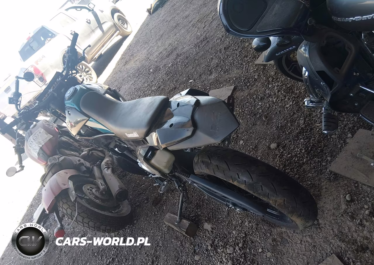 2023 Kawasaki Klx300 E VIN:ML5LXBE19PDA19006 - 16