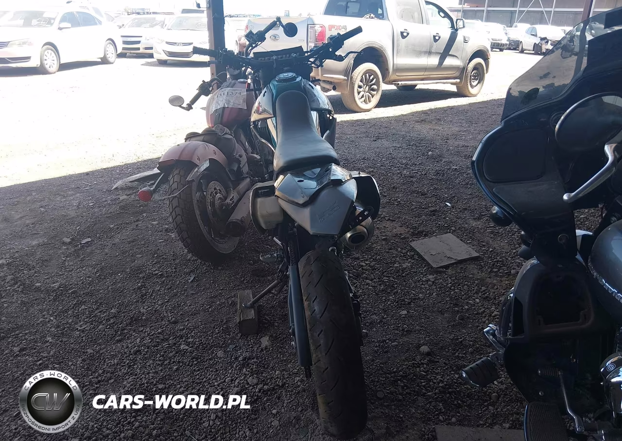 2023 Kawasaki Klx300 E VIN:ML5LXBE19PDA19006 - 6