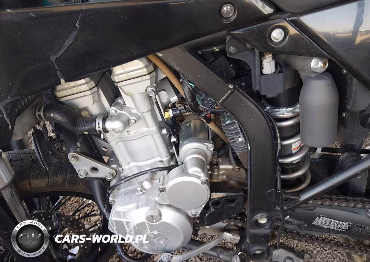 2023 Kawasaki Klx300 E VIN:ML5LXBE19PDA19006 - 9