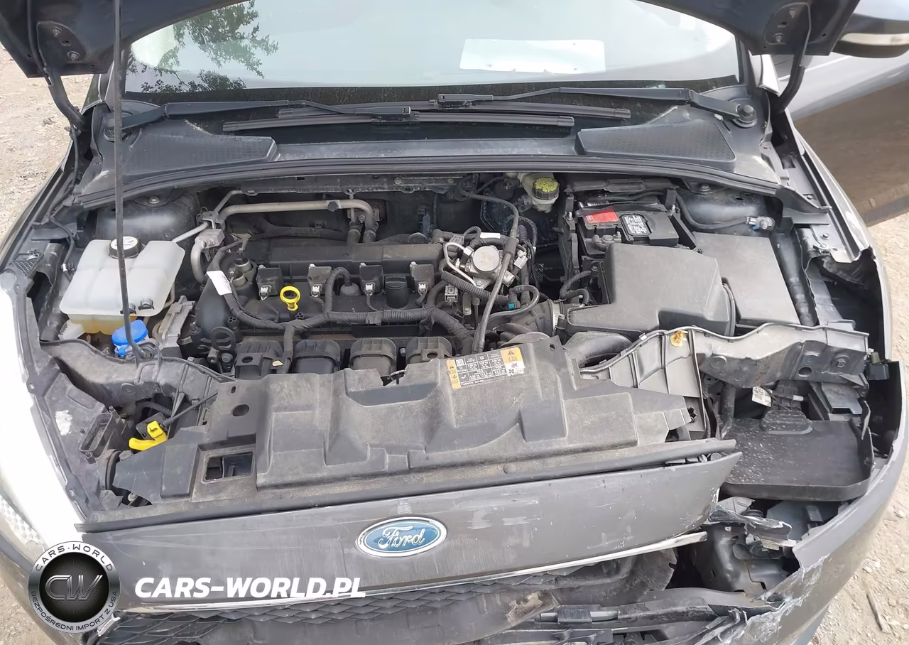 2016 Ford Focus Se VIN:1FADP3F21GL335404 - 10