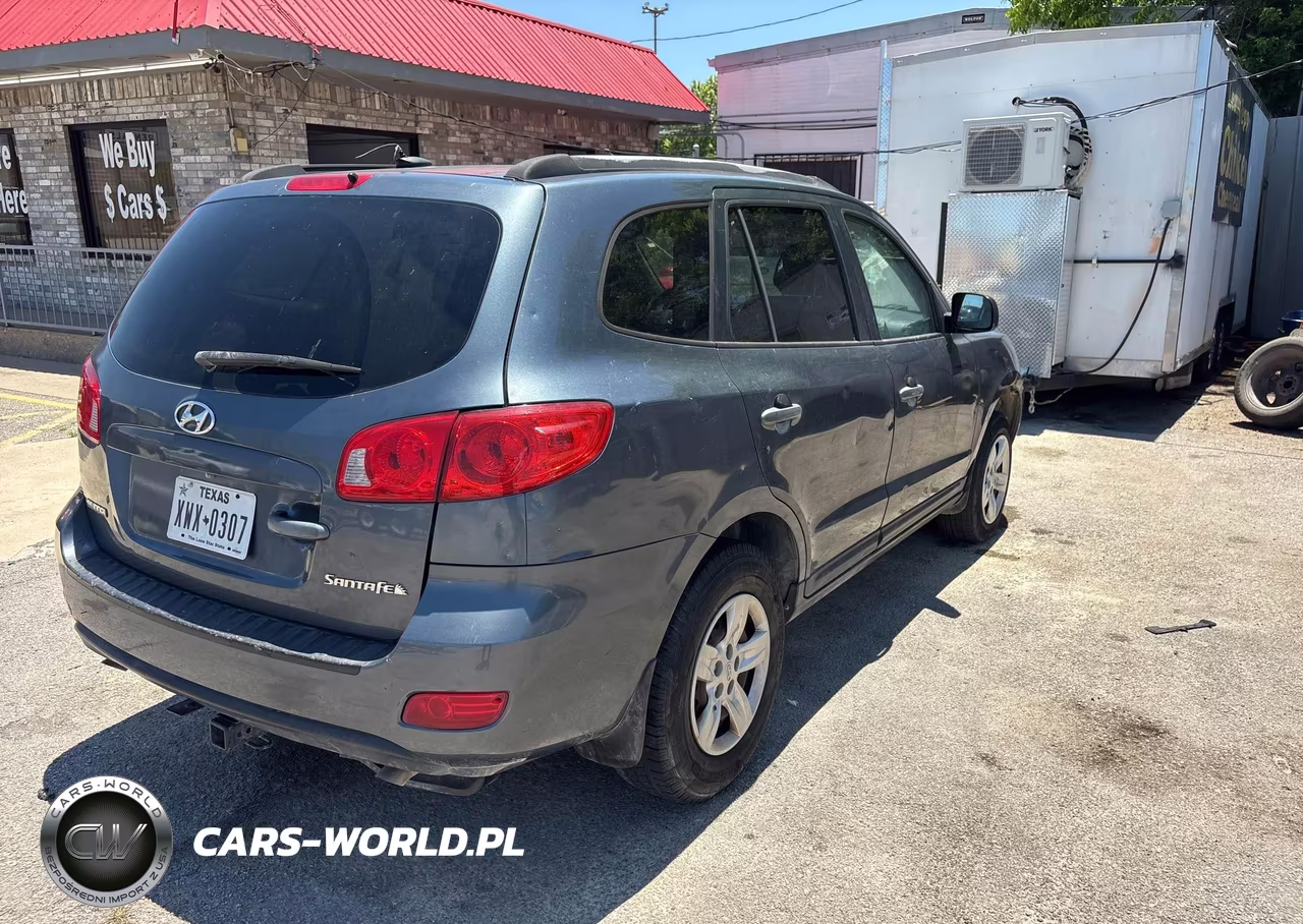 2009 Hyundai Santa Fe VIN:5NMSG13D09H246276 - 4