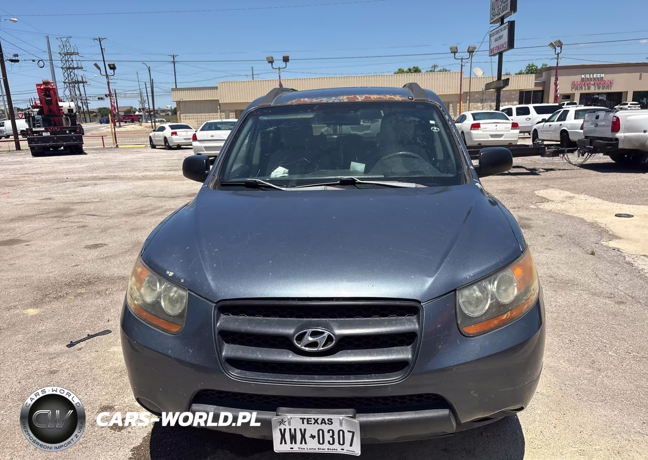 2009 Hyundai Santa Fe VIN:5NMSG13D09H246276 - 6