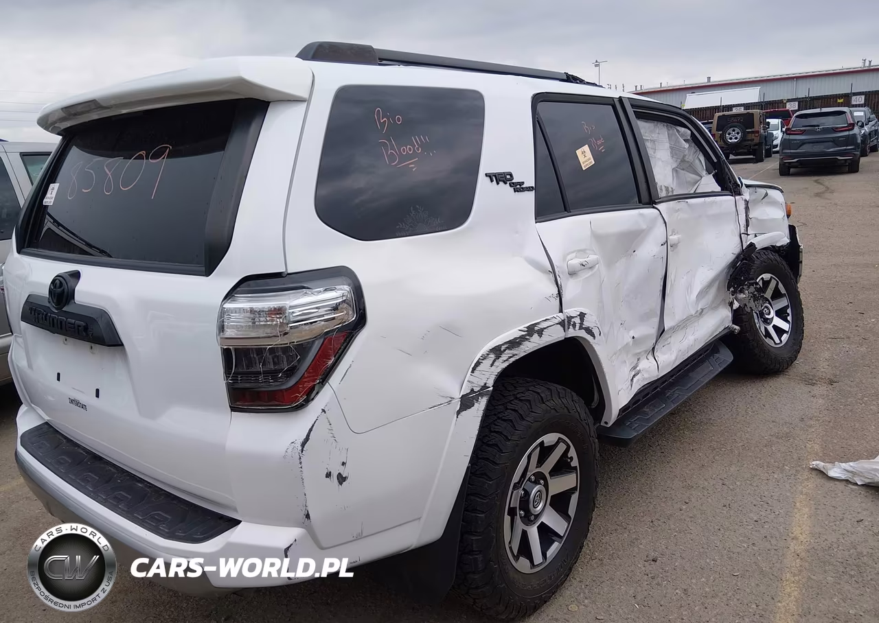 2020 Toyota 4Runner Trd Off Road Premium VIN:JTEBU5JR3L5831972 - 4