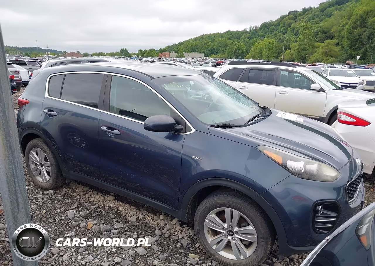 2017 Kia Sportage Lx VIN:KNDPMCAC6H7258216 - 13