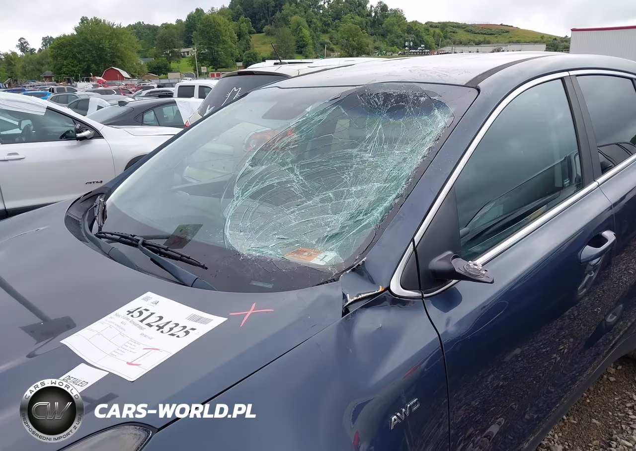2017 Kia Sportage Lx VIN:KNDPMCAC6H7258216 - 17