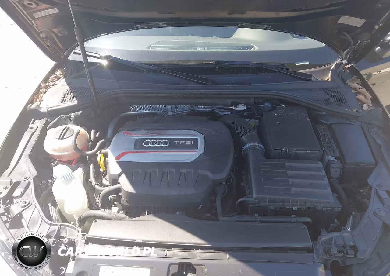 2017 Audi S3 2.0T Premium Plus VIN:WAUB1GFF5H1059719 - 10