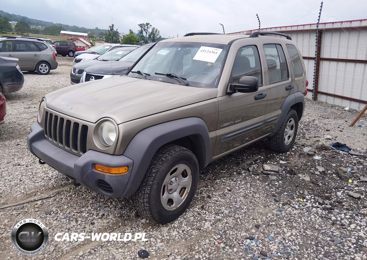 2003 Jeep Liberty VIN:1J4GL48K13W723922 - 2