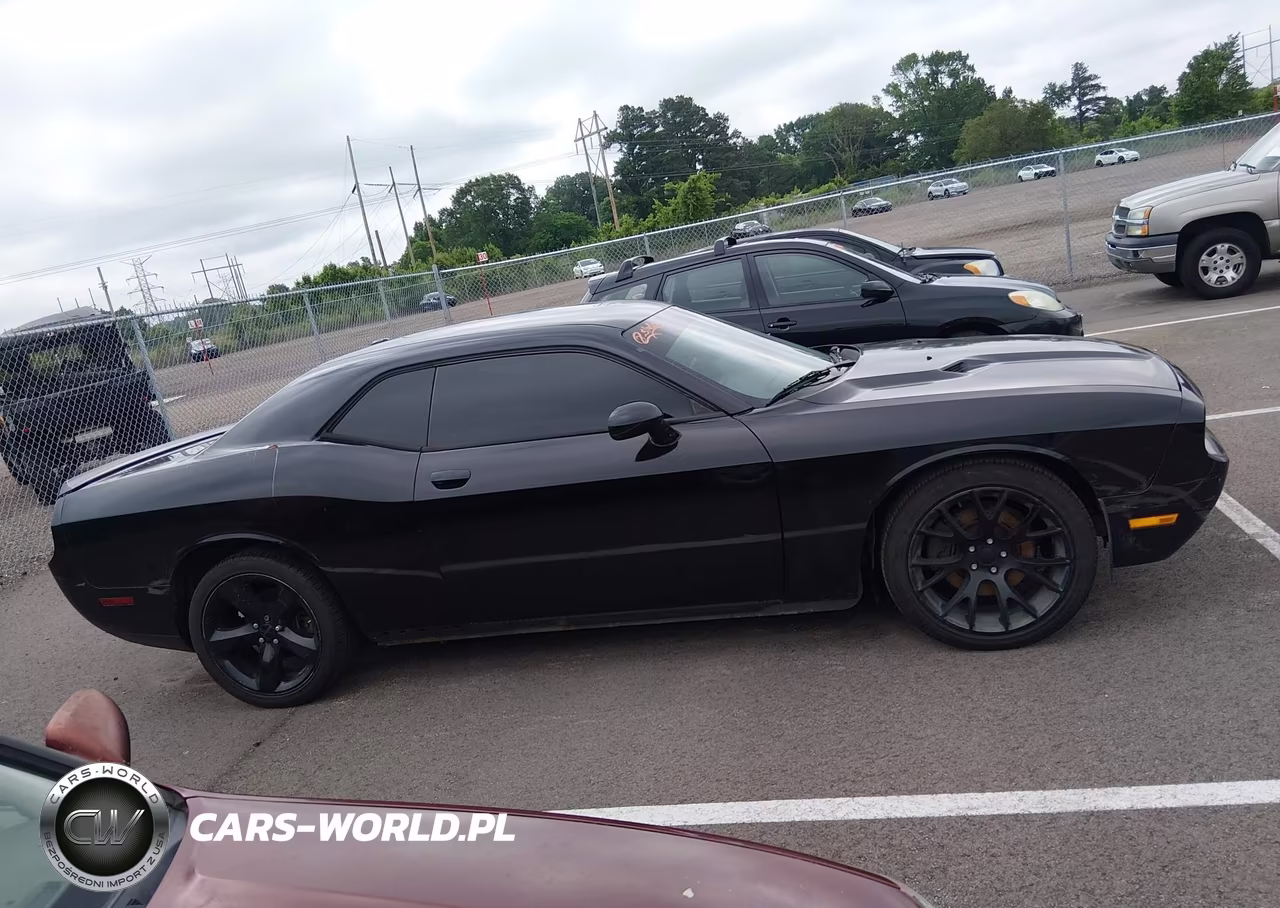 2013 Dodge Challenger Sxt VIN:2C3CDYAG7DH686989 - 13