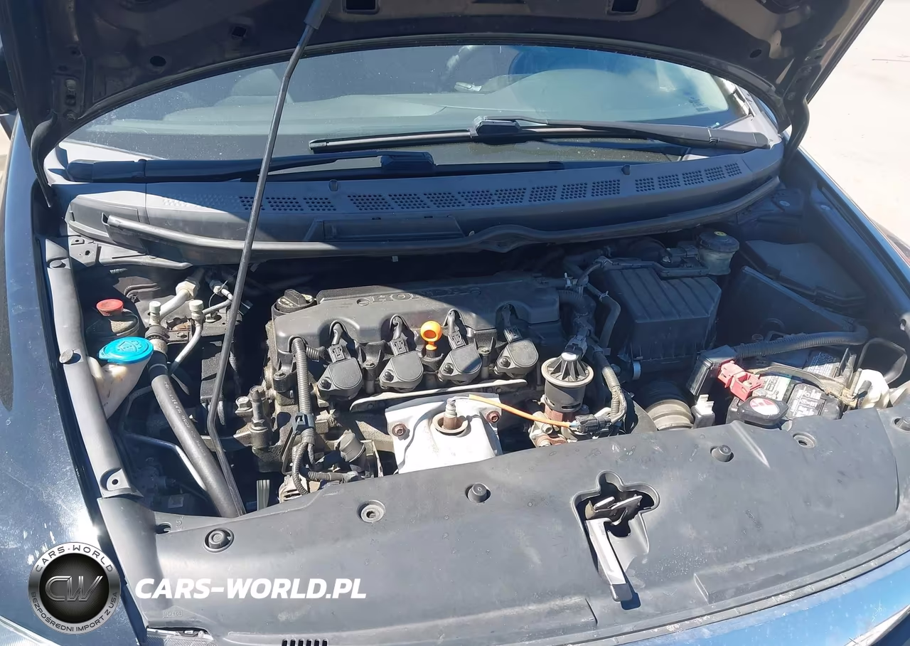 2010 Honda Civic Lx VIN:2HGFA1F56AH305050 - 10