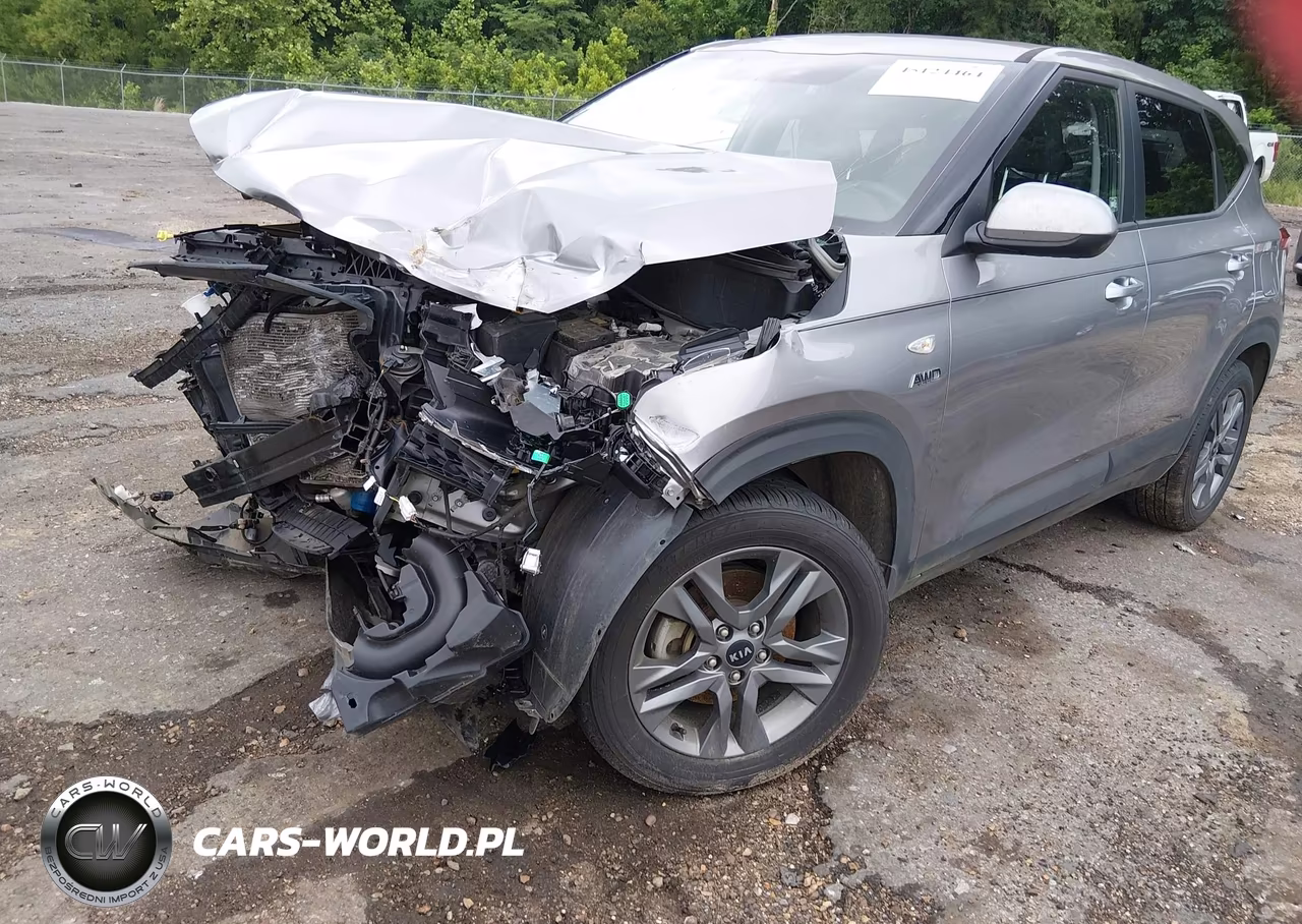 2021 Kia Seltos Lx VIN:KNDEPCAA8M7106235 - 17
