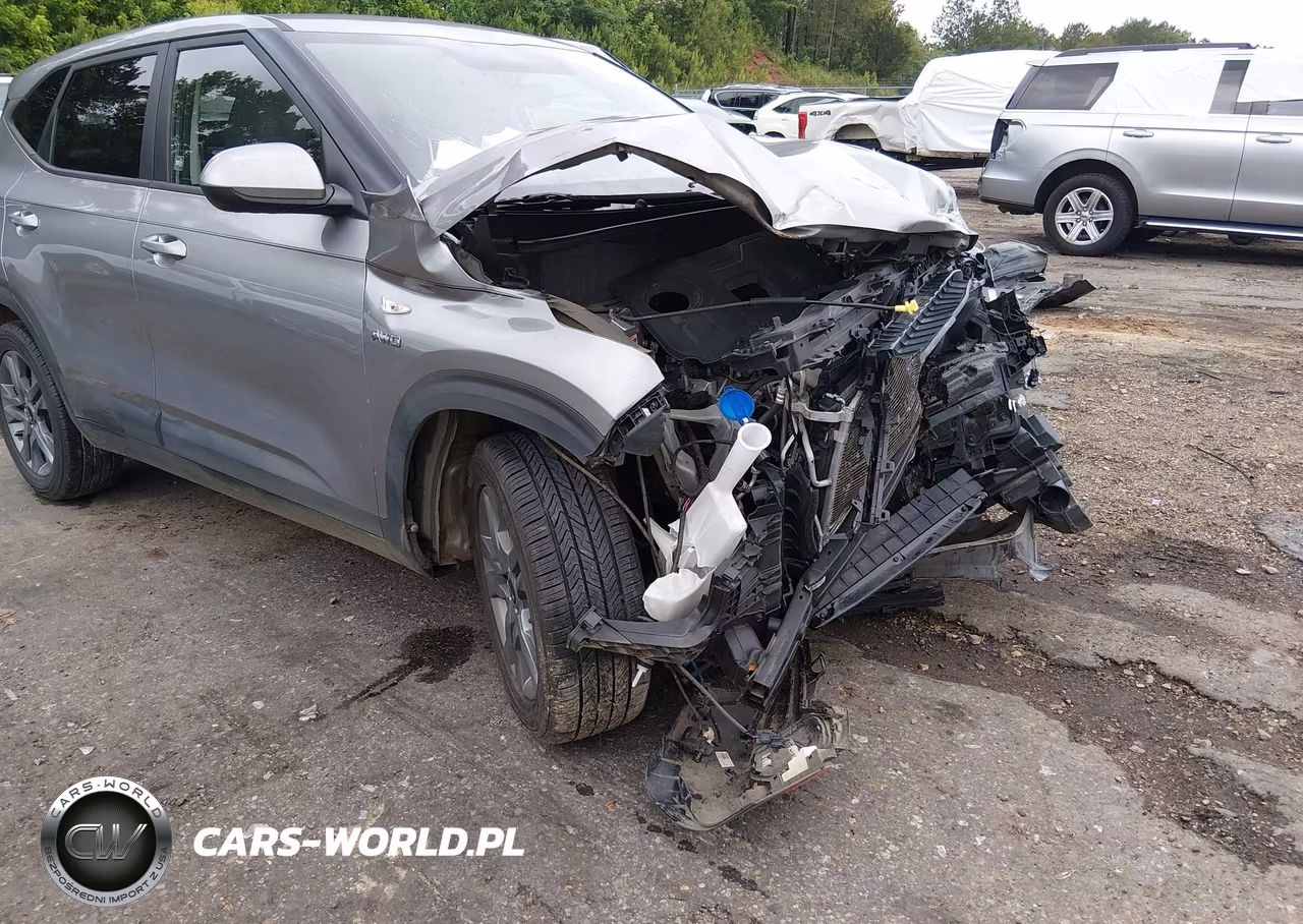2021 Kia Seltos Lx VIN:KNDEPCAA8M7106235 - 18