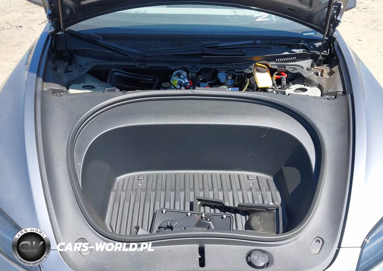 2025 Tesla Model 3 Long Range Rear-Wheel Drive-Standard Rear-Wheel Drive VIN:5YJ3E1EA1SF063361 - 10
