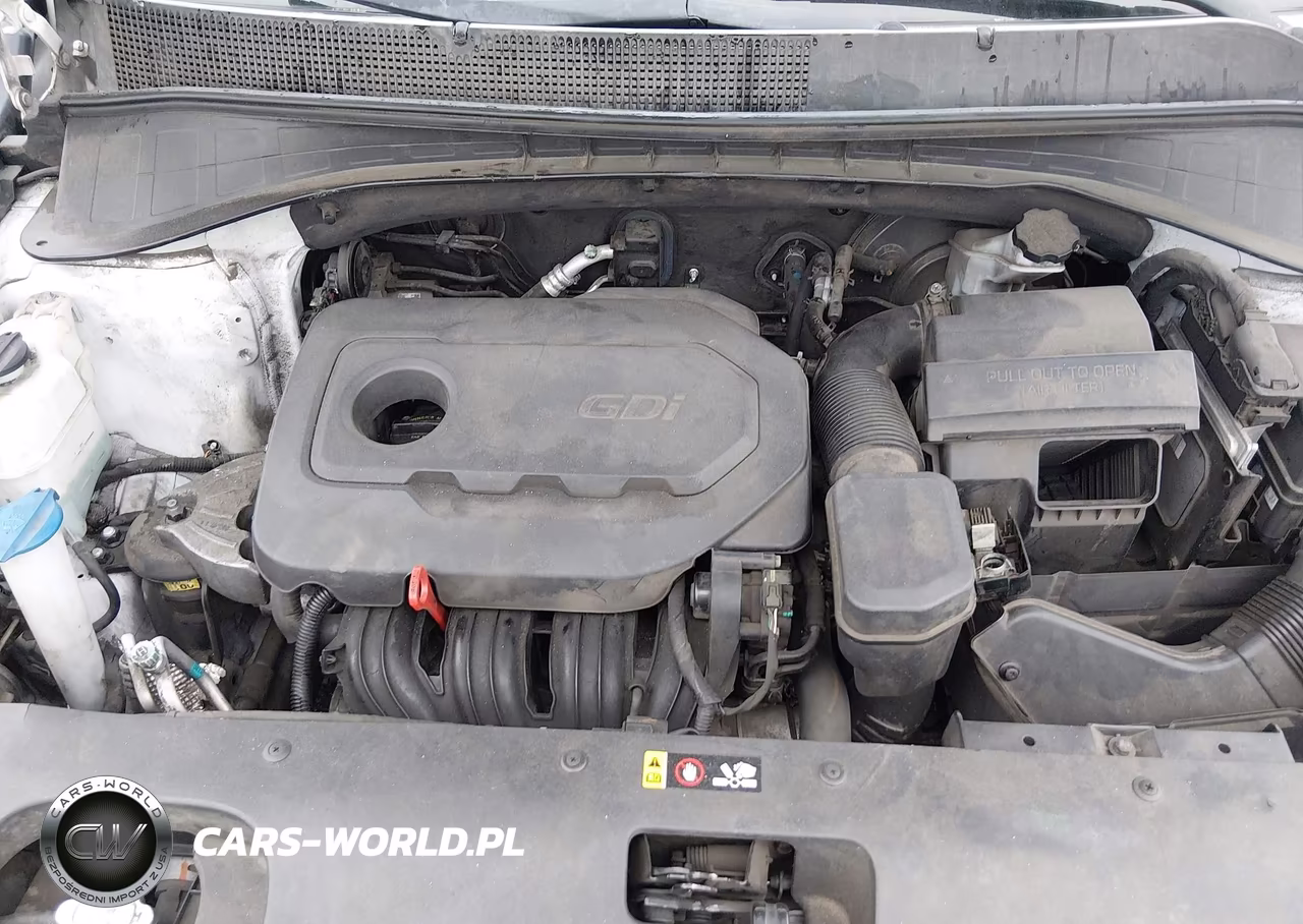 2016 Kia Sorento 2.4L Lx VIN:5XYPG4A34GG135352 - 10