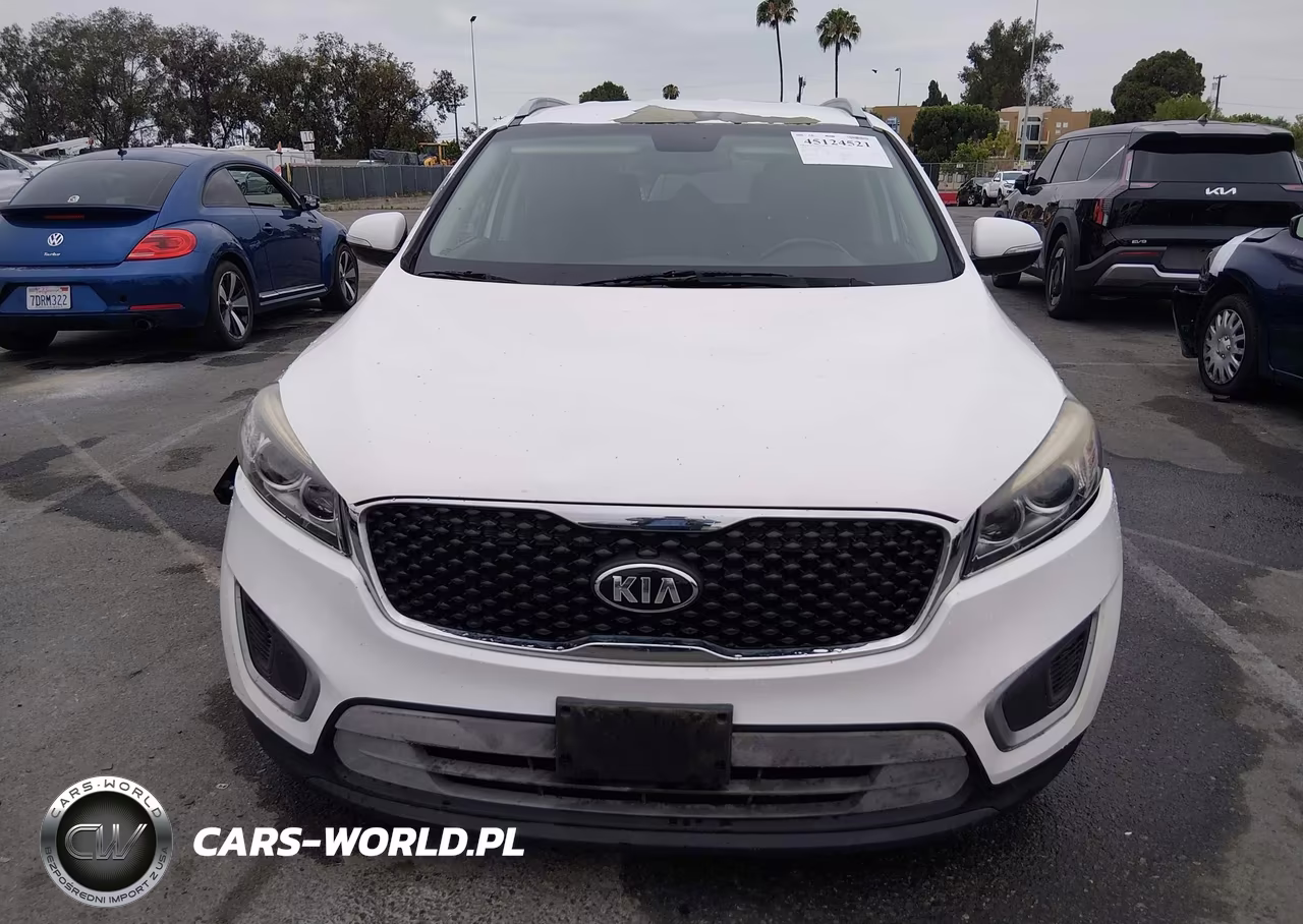 2016 Kia Sorento 2.4L Lx VIN:5XYPG4A34GG135352 - 12