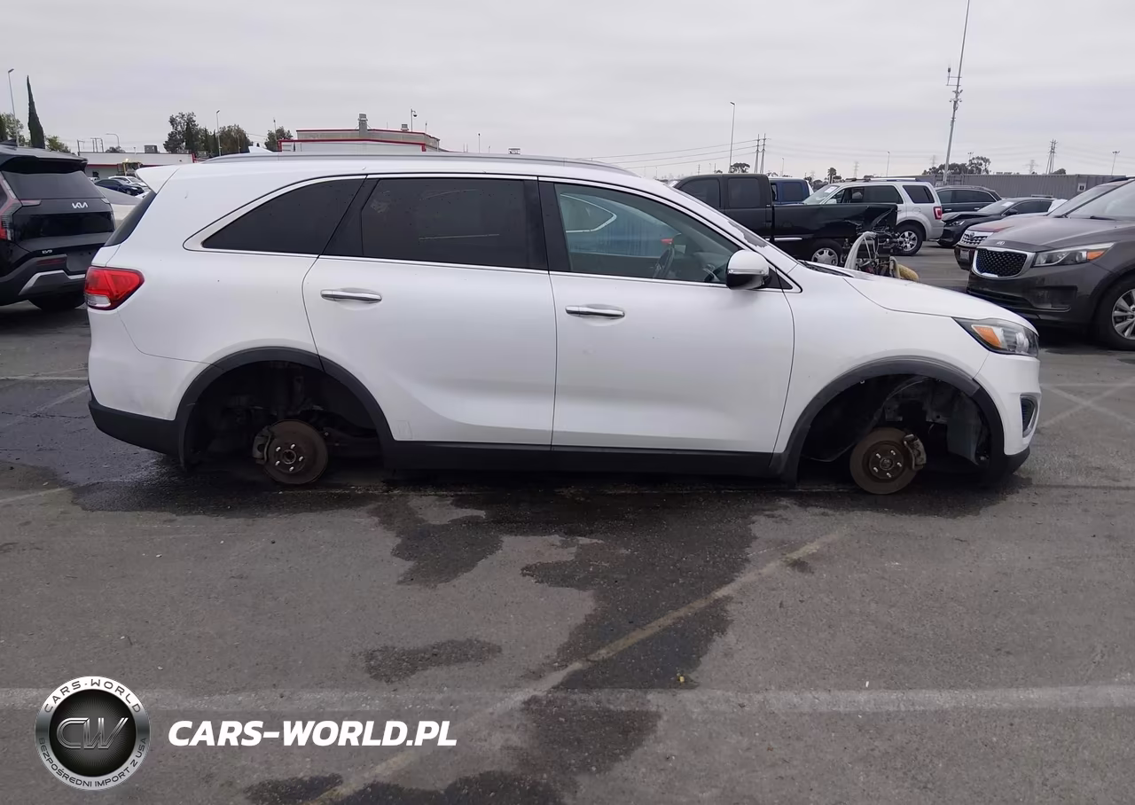 2016 Kia Sorento 2.4L Lx VIN:5XYPG4A34GG135352 - 13