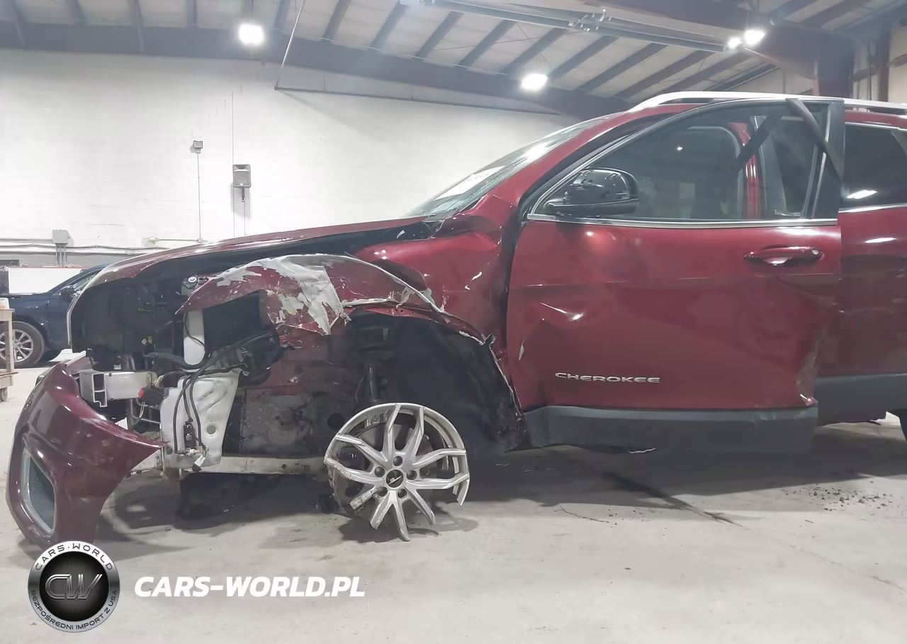 2019 Jeep Cherokee Limited 4X4 VIN:1C4PJMDXXKD451121 - 6