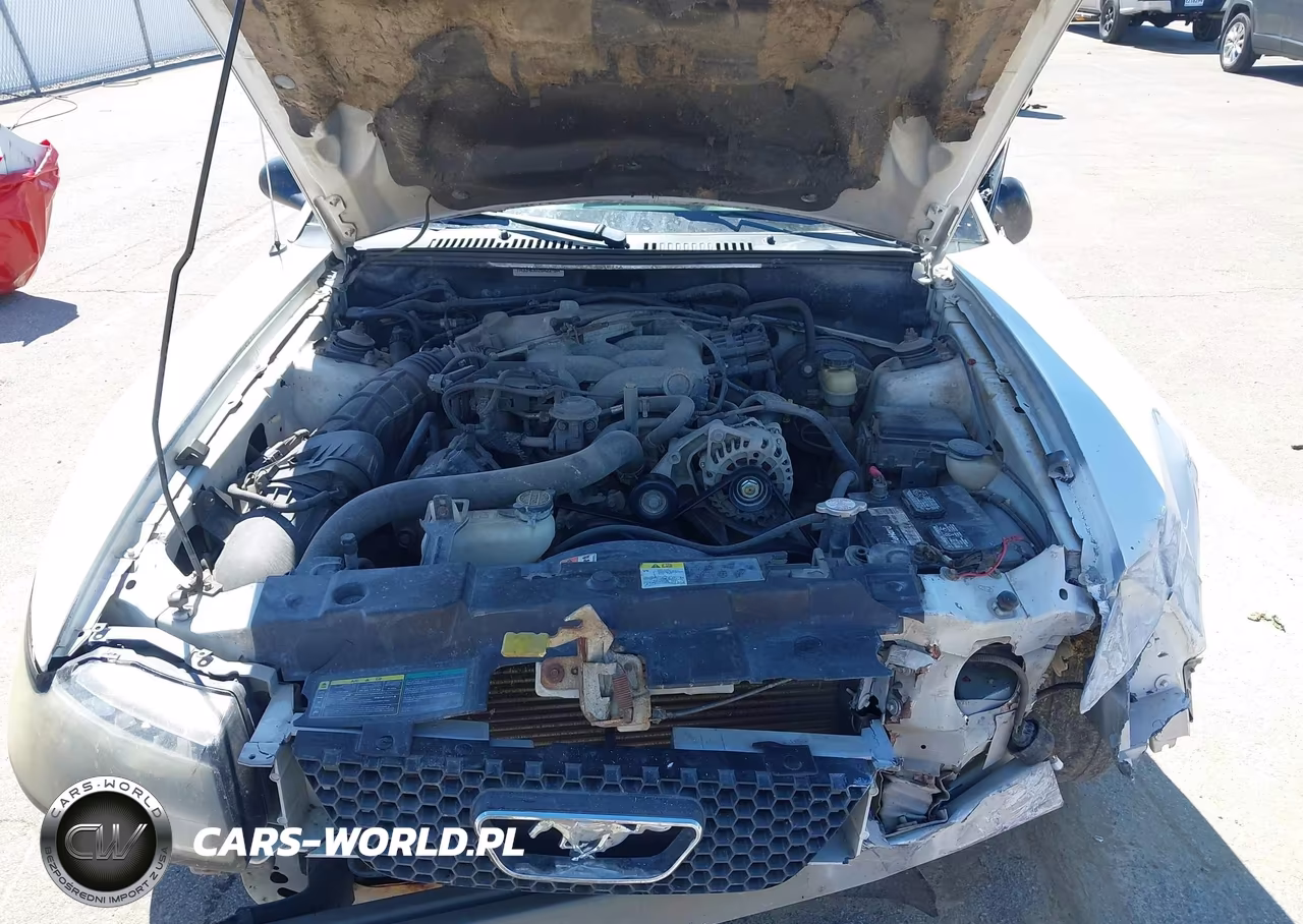 2004 Ford Mustang VIN:1FAFP44654F232985 - 10