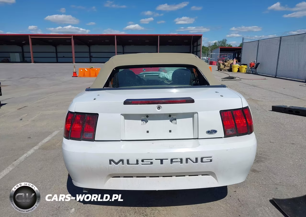 2004 Ford Mustang VIN:1FAFP44654F232985 - 17