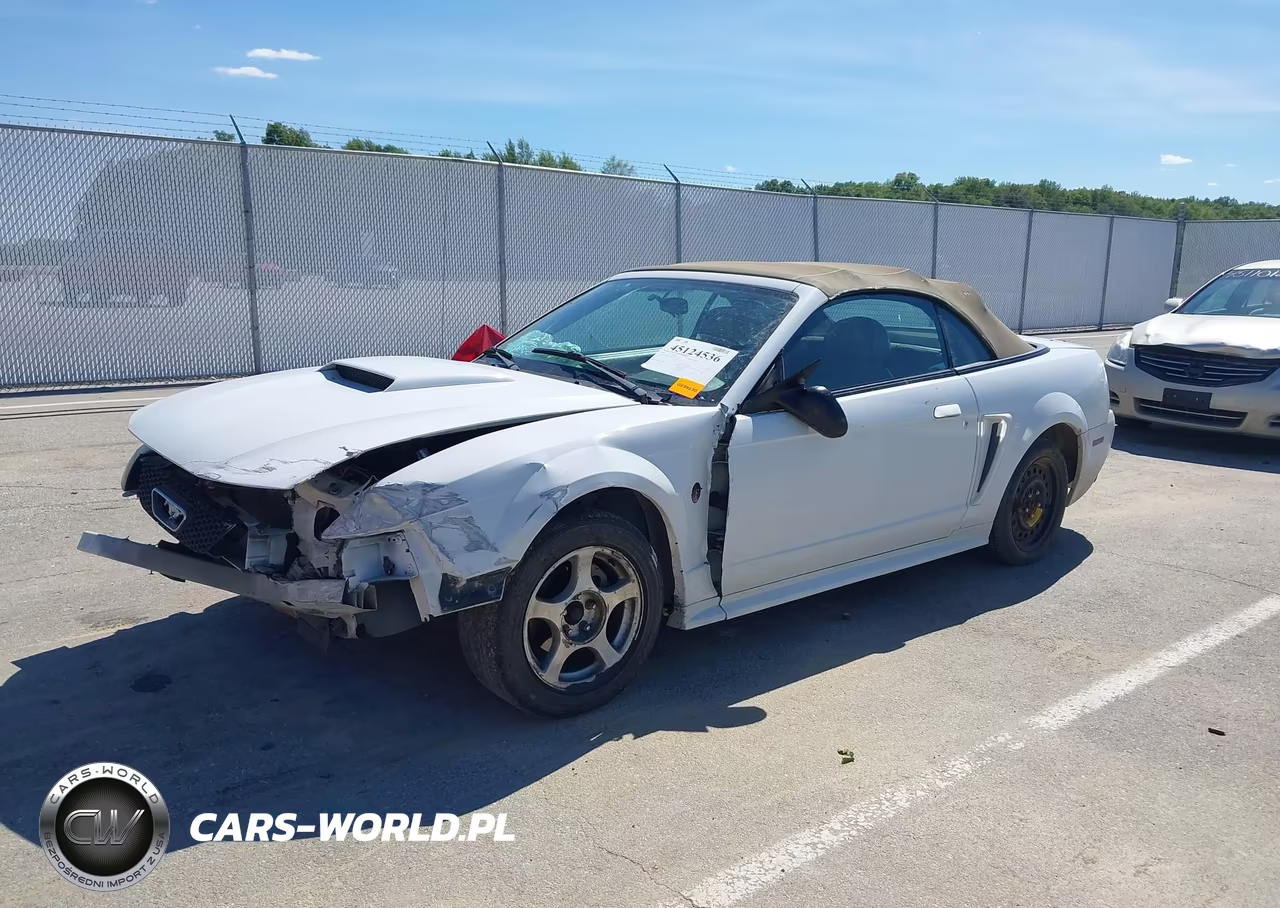 2004 Ford Mustang VIN:1FAFP44654F232985 - 2