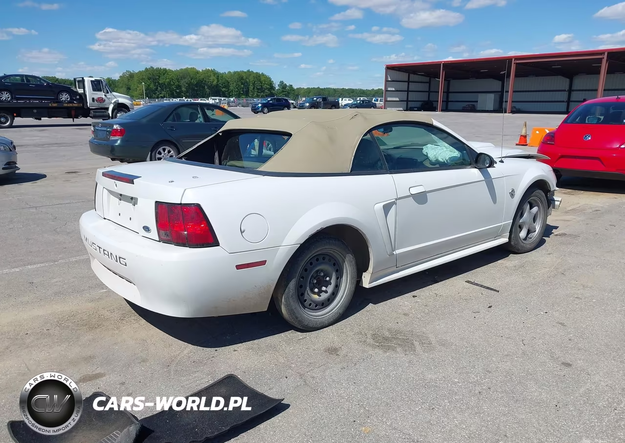 2004 Ford Mustang VIN:1FAFP44654F232985 - 4