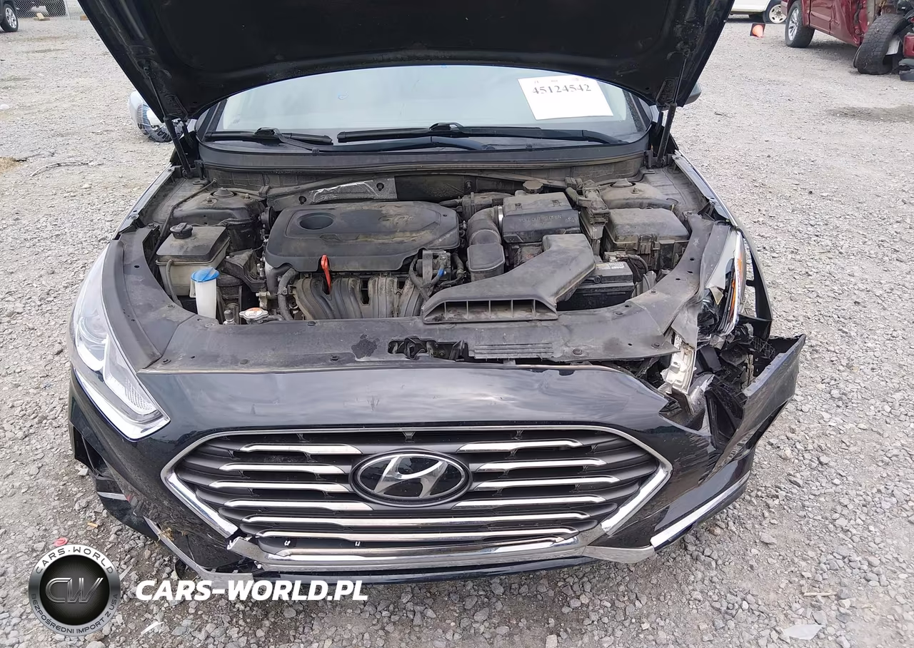 2018 Hyundai Sonata Se VIN:5NPE24AF9JH709363 - 10