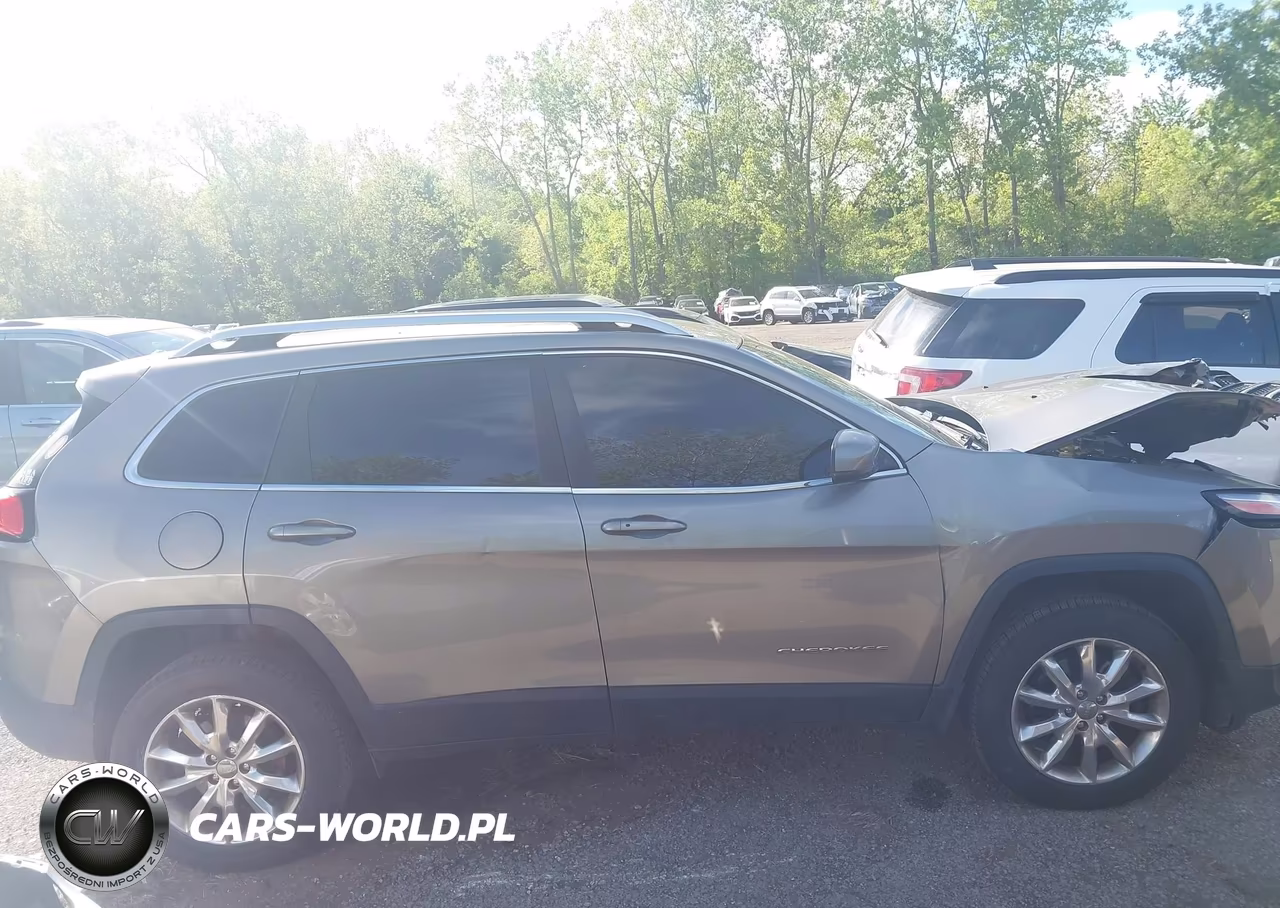 2017 Jeep Cherokee Limited 4X4 VIN:1C4PJMDB8HW593551 - 13