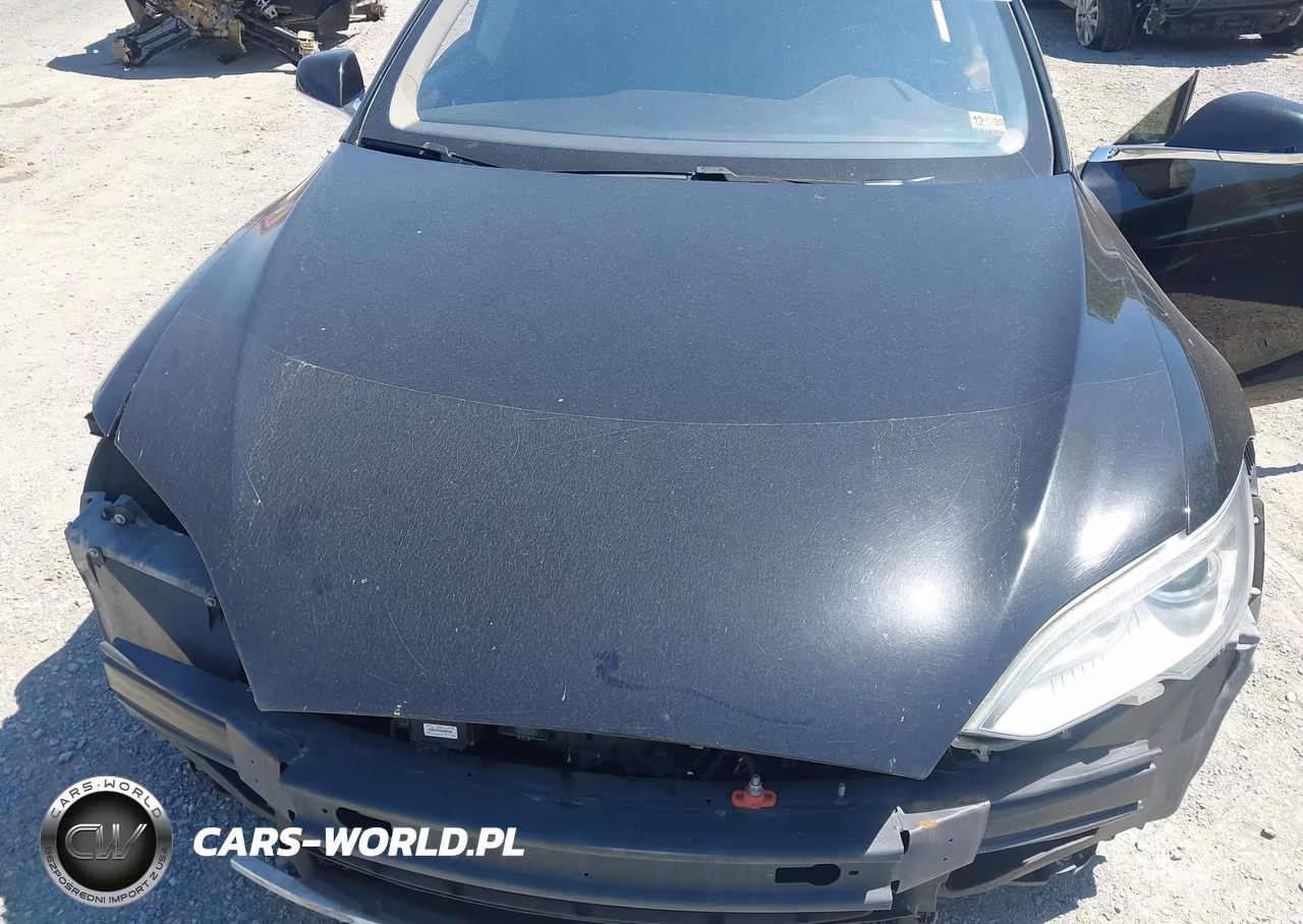 2013 Tesla Model S Performance VIN:5YJSA1DP7DFP05713 - 10
