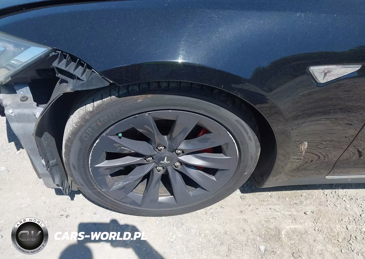 2013 Tesla Model S Performance VIN:5YJSA1DP7DFP05713 - 12