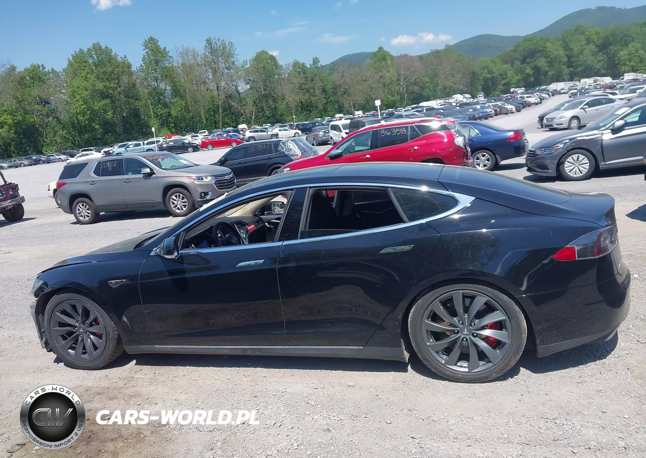 2013 Tesla Model S Performance VIN:5YJSA1DP7DFP05713 - 15