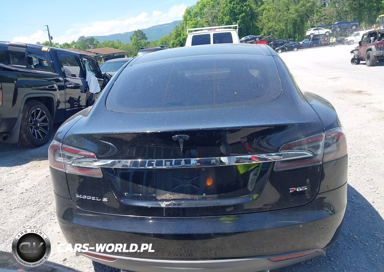 2013 Tesla Model S Performance VIN:5YJSA1DP7DFP05713 - 17