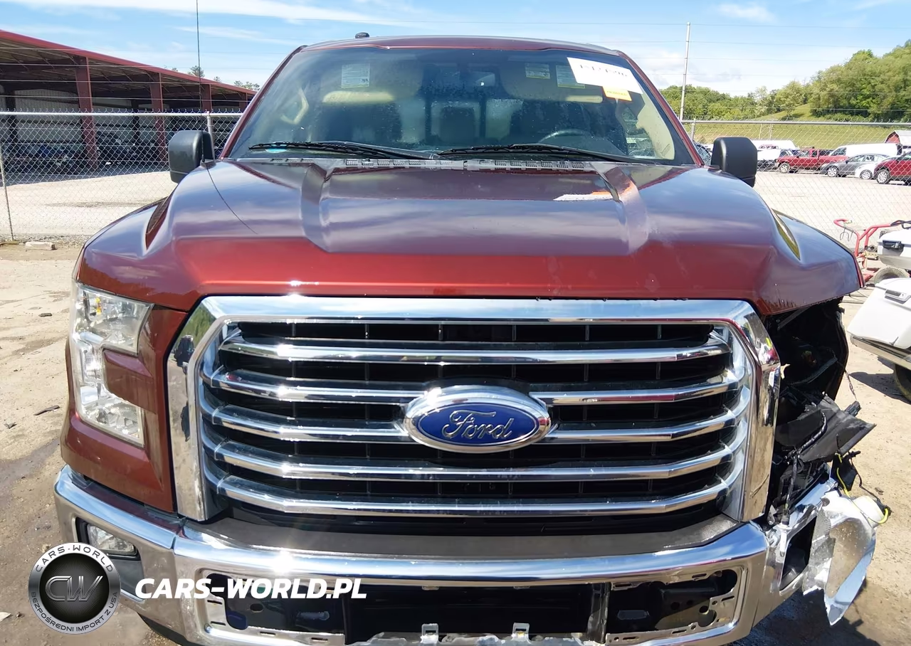 2016 Ford F-150 Xlt VIN:1FTFW1EG6GFD52530 - 13