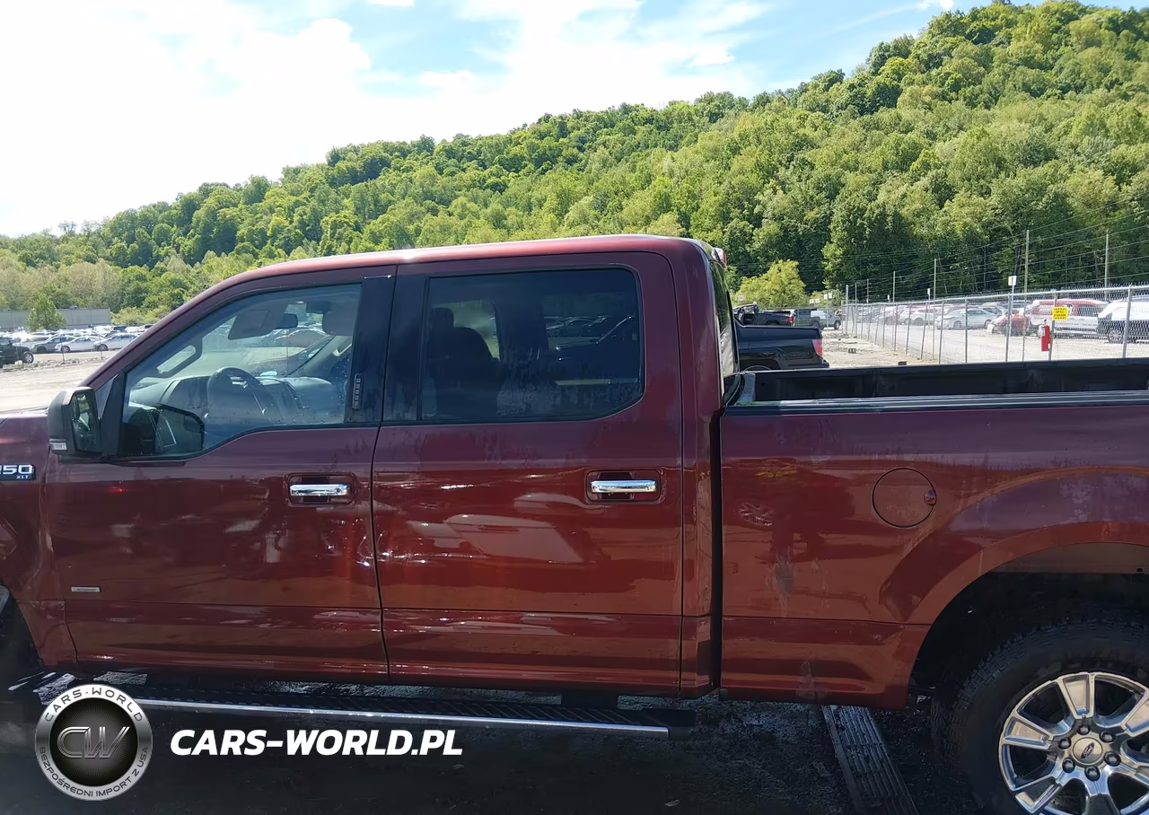 2016 Ford F-150 Xlt VIN:1FTFW1EG6GFD52530 - 15