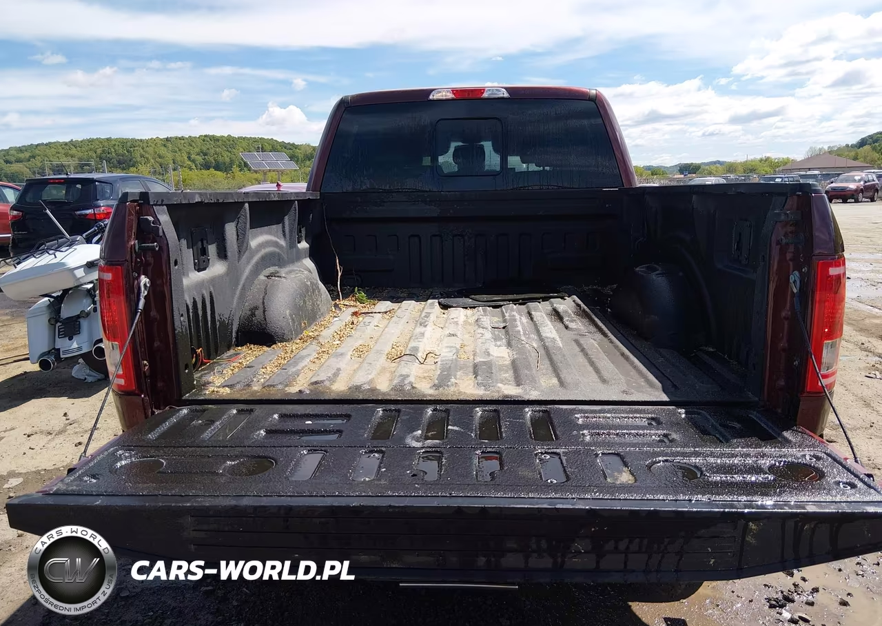 2016 Ford F-150 Xlt VIN:1FTFW1EG6GFD52530 - 17
