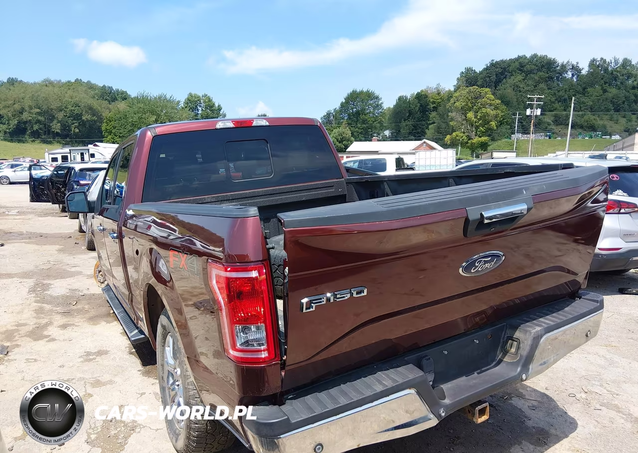2016 Ford F-150 Xlt VIN:1FTFW1EG6GFD52530 - 3