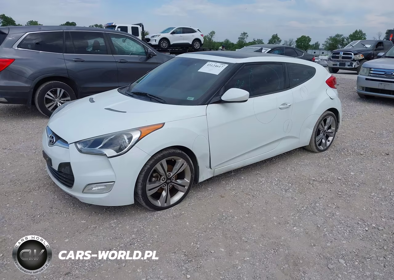 2013 Hyundai Veloster Base W-Black VIN:KMHTC6AD4DU146503 - 2