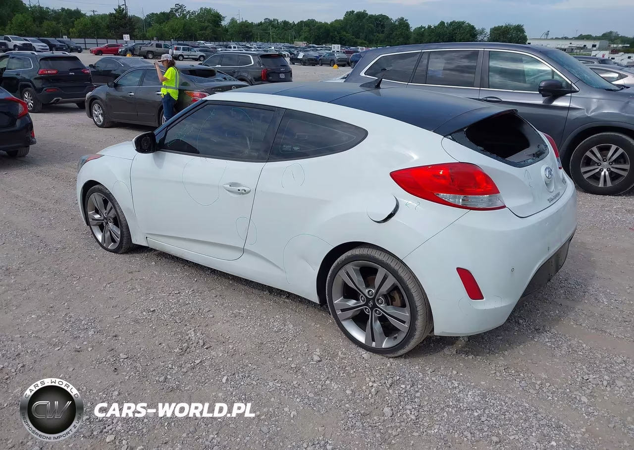 2013 Hyundai Veloster Base W-Black VIN:KMHTC6AD4DU146503 - 3