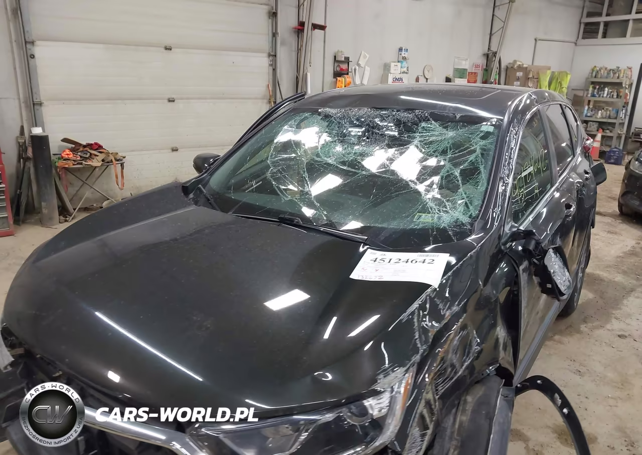 2019 Honda Cr-V Ex VIN:7FARW2H50KE037088 - 12