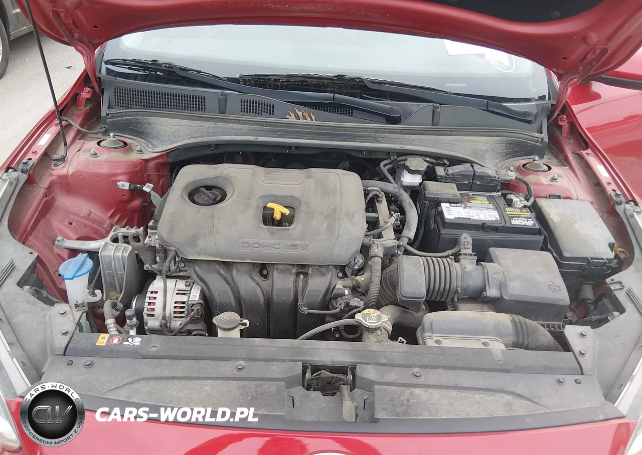 2019 Kia Forte Lxs VIN:3KPF24AD0KE117682 - 10