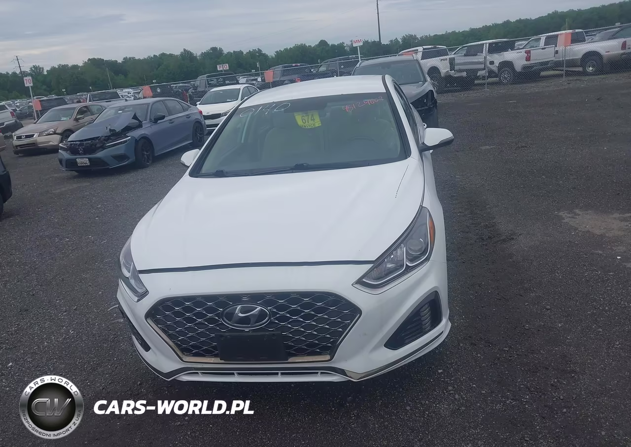 2019 Hyundai Sonata Sel VIN:5NPE34AF3KH810140 - 12