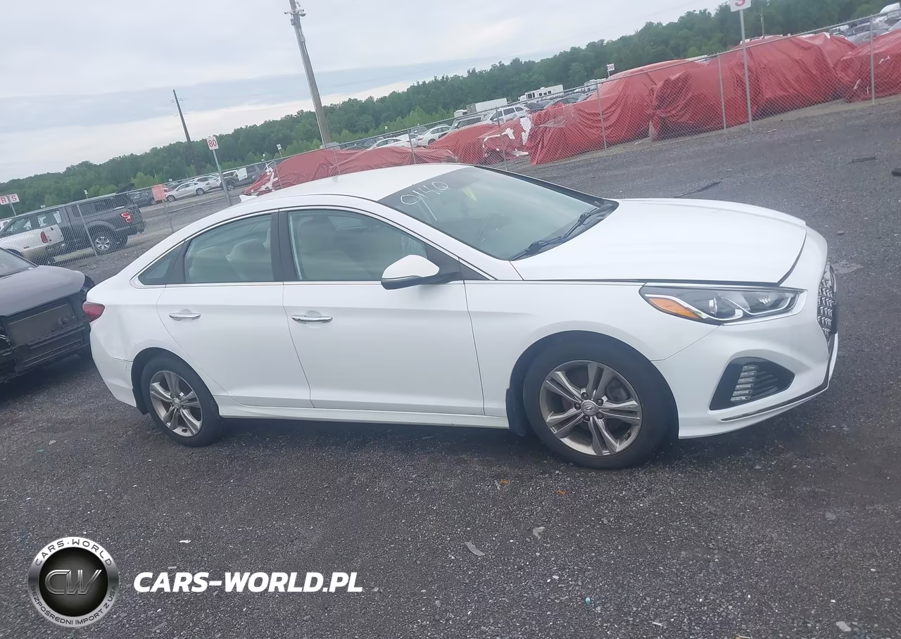 2019 Hyundai Sonata Sel VIN:5NPE34AF3KH810140 - 13