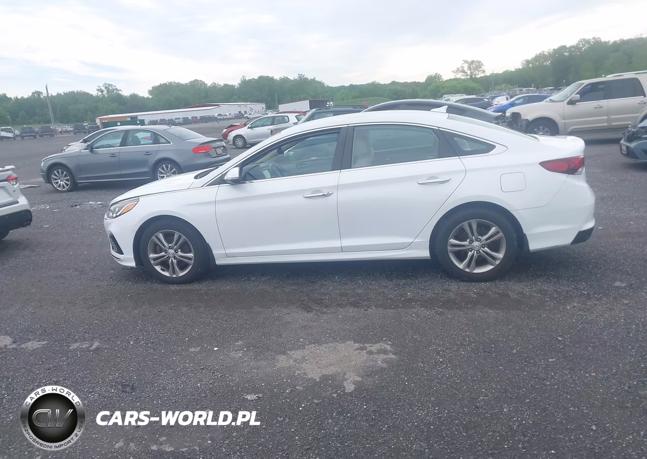 2019 Hyundai Sonata Sel VIN:5NPE34AF3KH810140 - 14