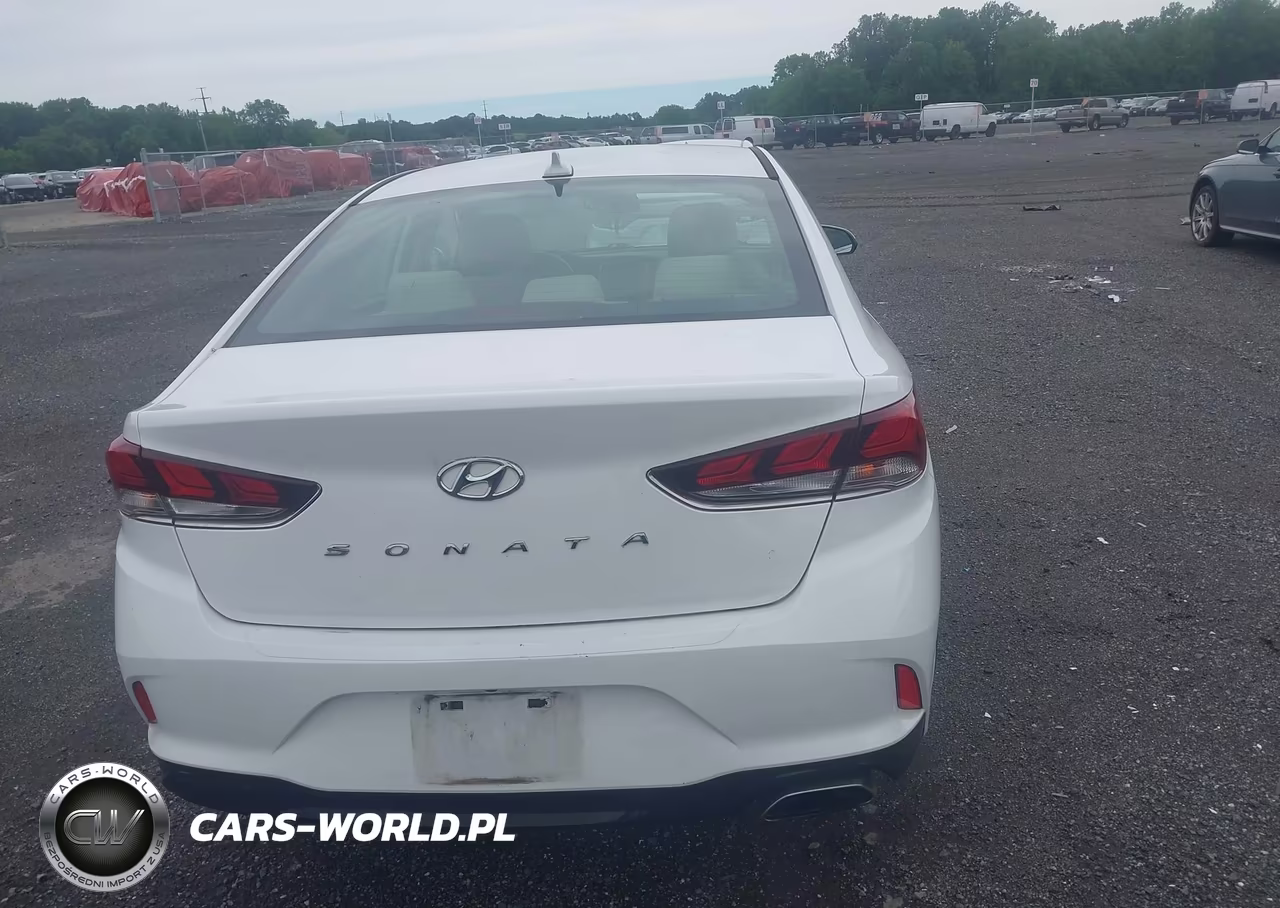 2019 Hyundai Sonata Sel VIN:5NPE34AF3KH810140 - 16